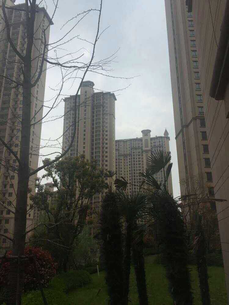 ǽ